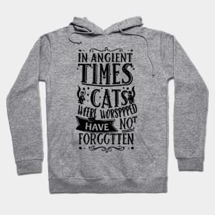 In ancient times cats were worshipped as gods; they have not forgotten this Hoodie